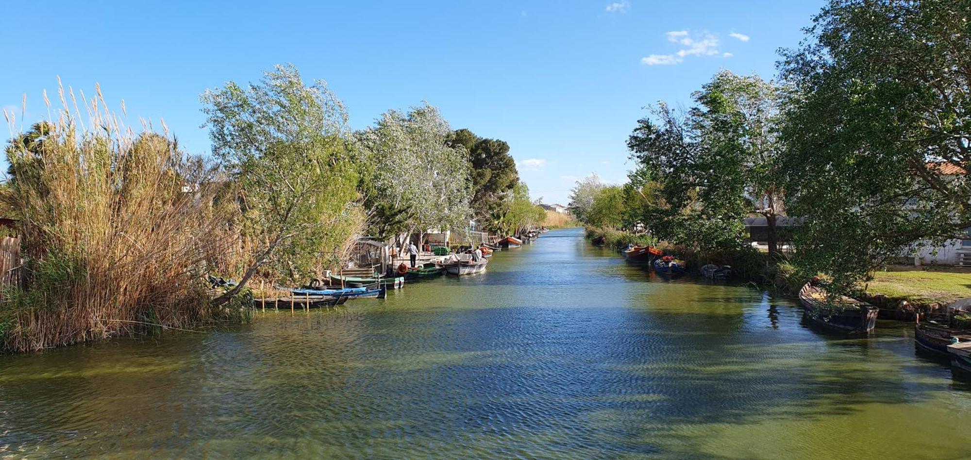 Habitacion Cerca Del Centro Valensiya Dış mekan fotoğraf