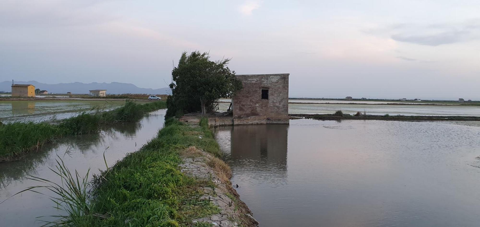 Habitacion Cerca Del Centro Valensiya Dış mekan fotoğraf